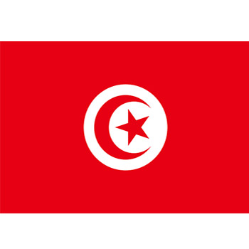 tunisie_drapeau