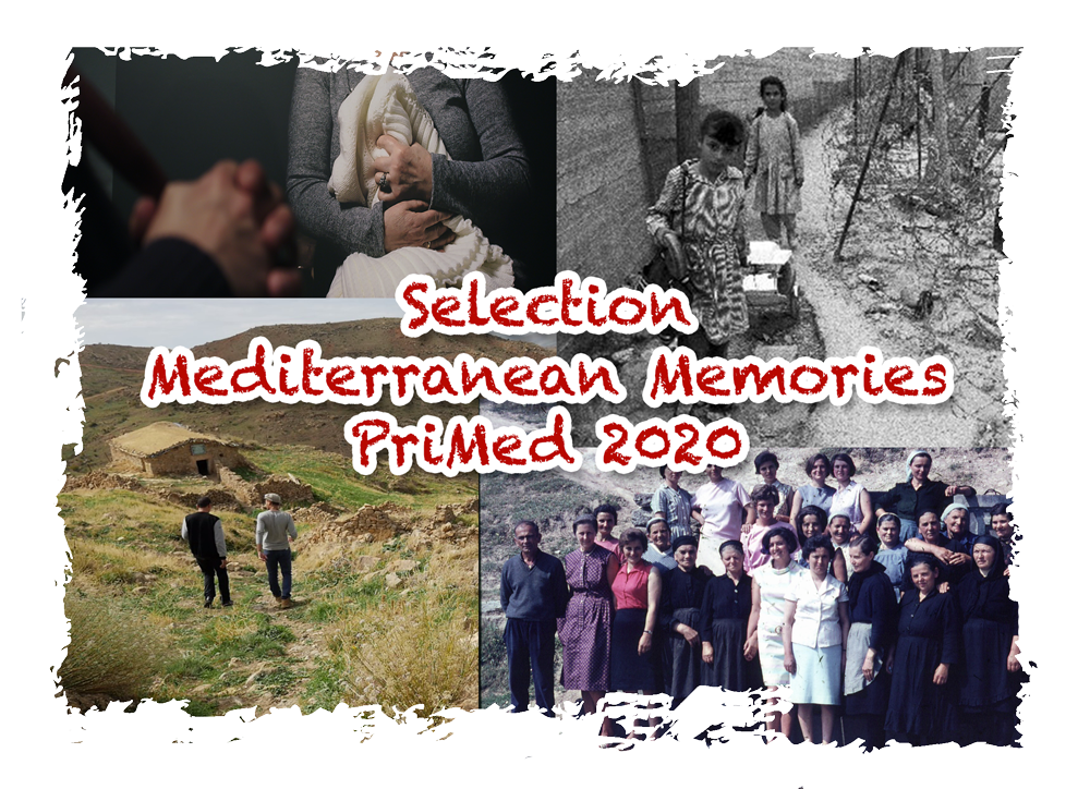 selection-primed-memory-2020-EN