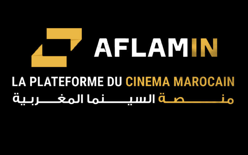 Logo AFLAMIN